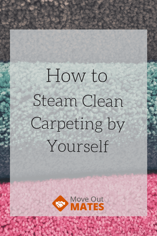 How to steam clean carpeting by yourself How to steam clean carpeting by yourself